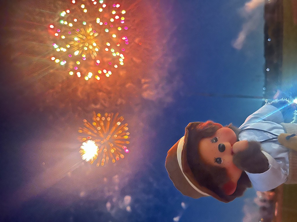 モンチッチがレポート☆】葛飾納涼花火大会に行ってきたモン